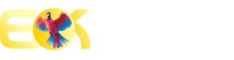 Win55 promo - Brisabet
